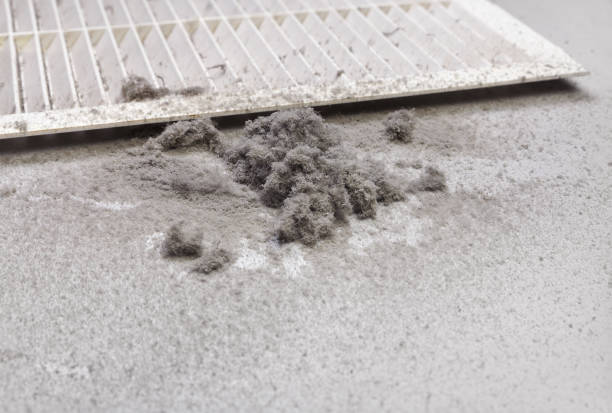 Best Dryer Vent Cleaning Services  in Ddanelle, AR