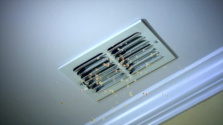 Best Affordable HVAC Duct Cleaning  in Ddanelle, AR
