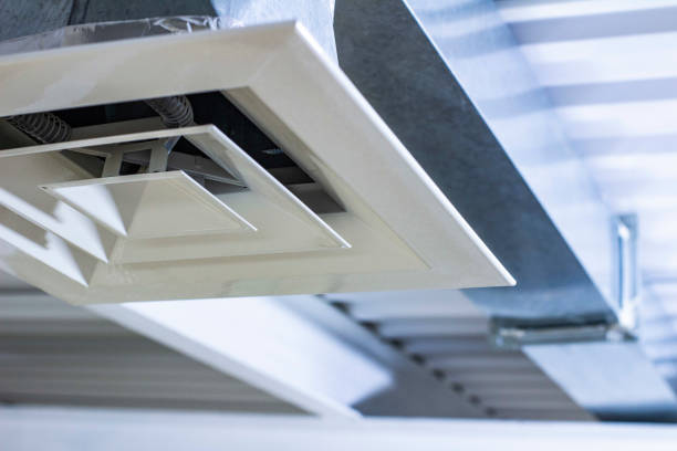 Best Professional Duct Cleaning Services  in Ddanelle, AR