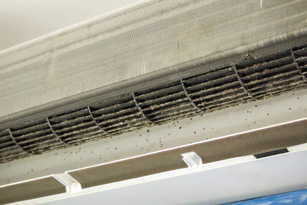 Best Residential Air Duct Cleaning  in Ddanelle, AR